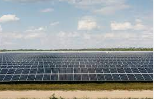 Why Do People Choose Solar Panels?